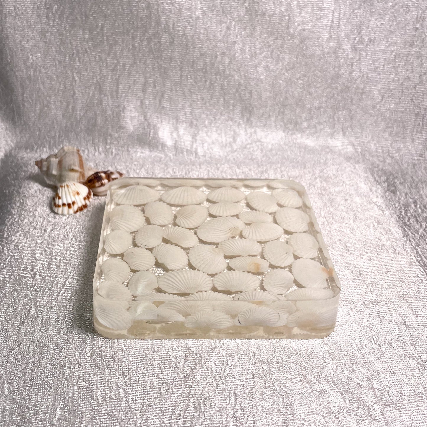 Seashell Serenity Coasters-White Shell Resin-Transparent-Square