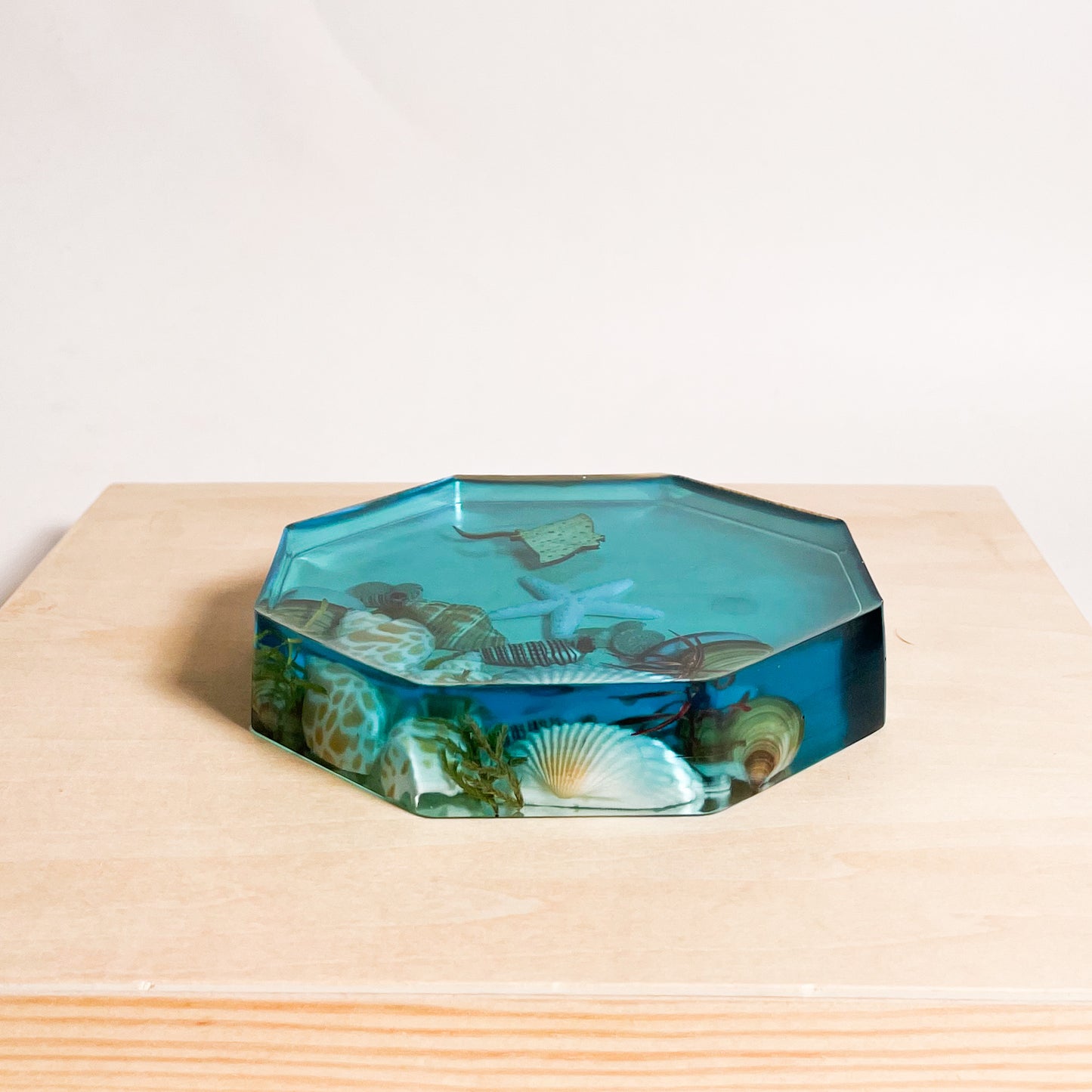 Seashell Serenity Coasters-Underwater Resin-Ocean Blue-Octagon