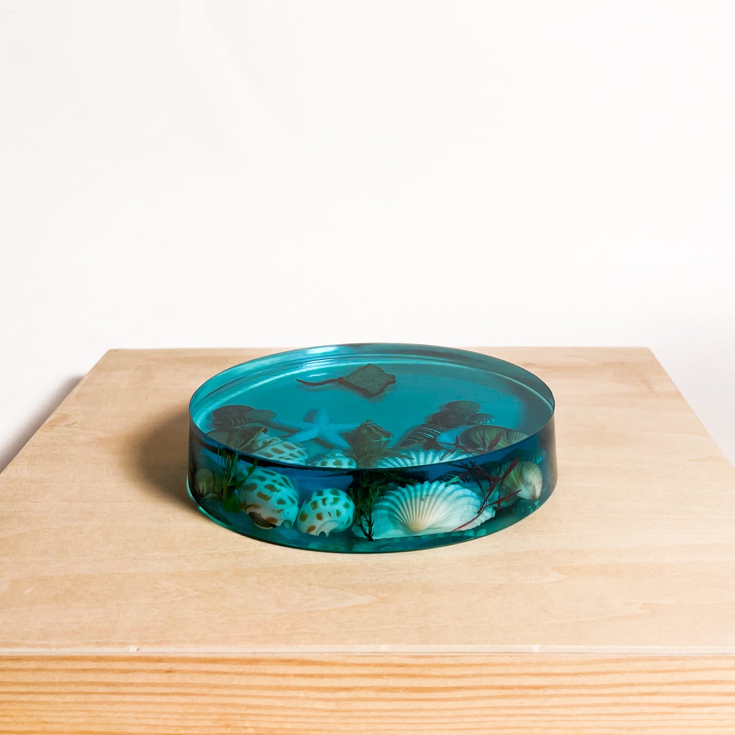 Seashell Serenity Coasters-Underwater Resin-Ocean Blue-Round