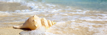 Ocean Calm- The Sea, Stilled in Art