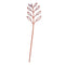 Lasting Petals Flower-Saptdashpatra Wooden-Cinnamon