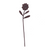 Lasting Petals Flower-Dasharaj Wooden-Rose Wood