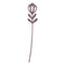 Lasting Petals Flower-Trayodashakusum Wooden-Rose Wood