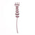 Lasting Petals Flower-Vimsatipushpa Wooden-Rose Wood