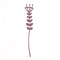 Lasting Petals Flower-Vimsatipushpa Wooden-Rose Wood