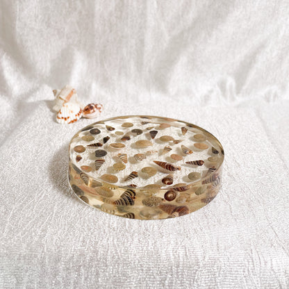 Seashell Serenity Coasters-Multi Color Shell Resin-Transparent-Round