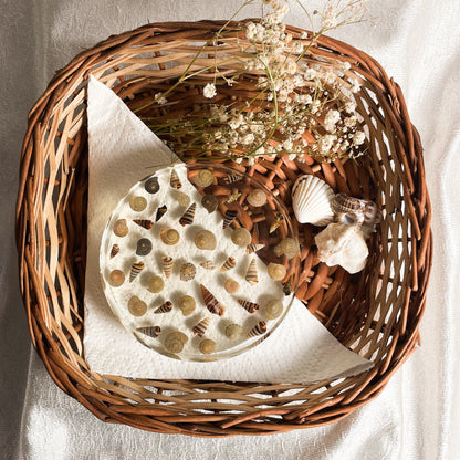 Seashell Serenity Coasters-Multi Color Shell Resin-Transparent-Round
