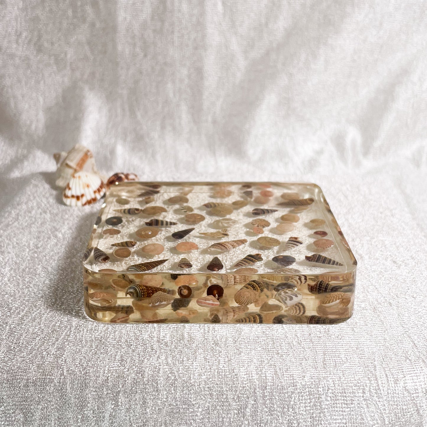 Seashell Serenity Coasters-Multi Color Shell Resin-Transparent-Square