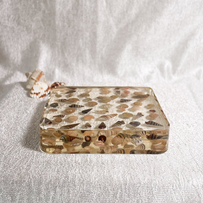 Seashell Serenity Coasters-Multi Color Shell Resin-Transparent-Square