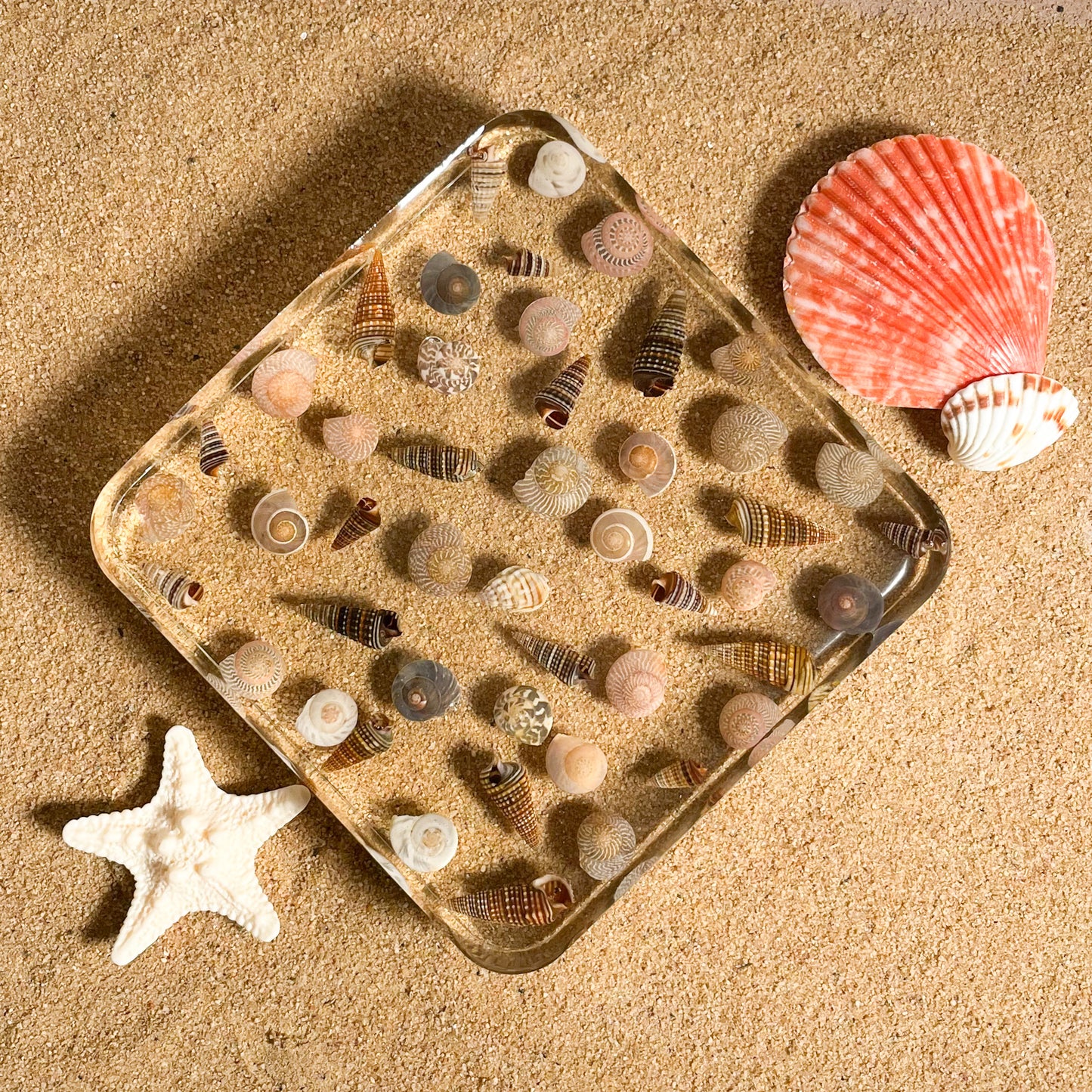 Seashell Serenity Coasters-Multi Color Shell Resin-Transparent-Square