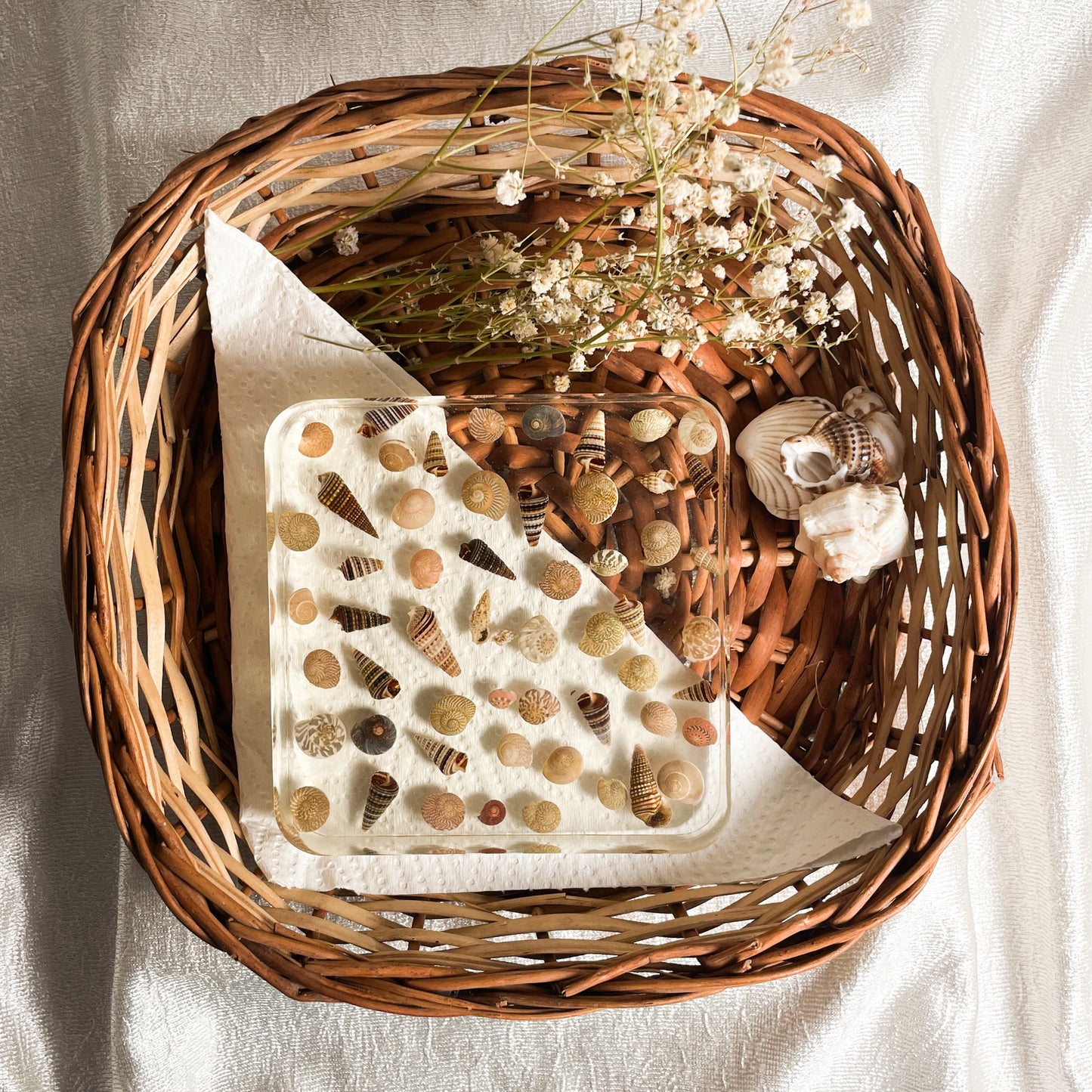Seashell Serenity Coasters-Multi Color Shell Resin-Transparent-Square