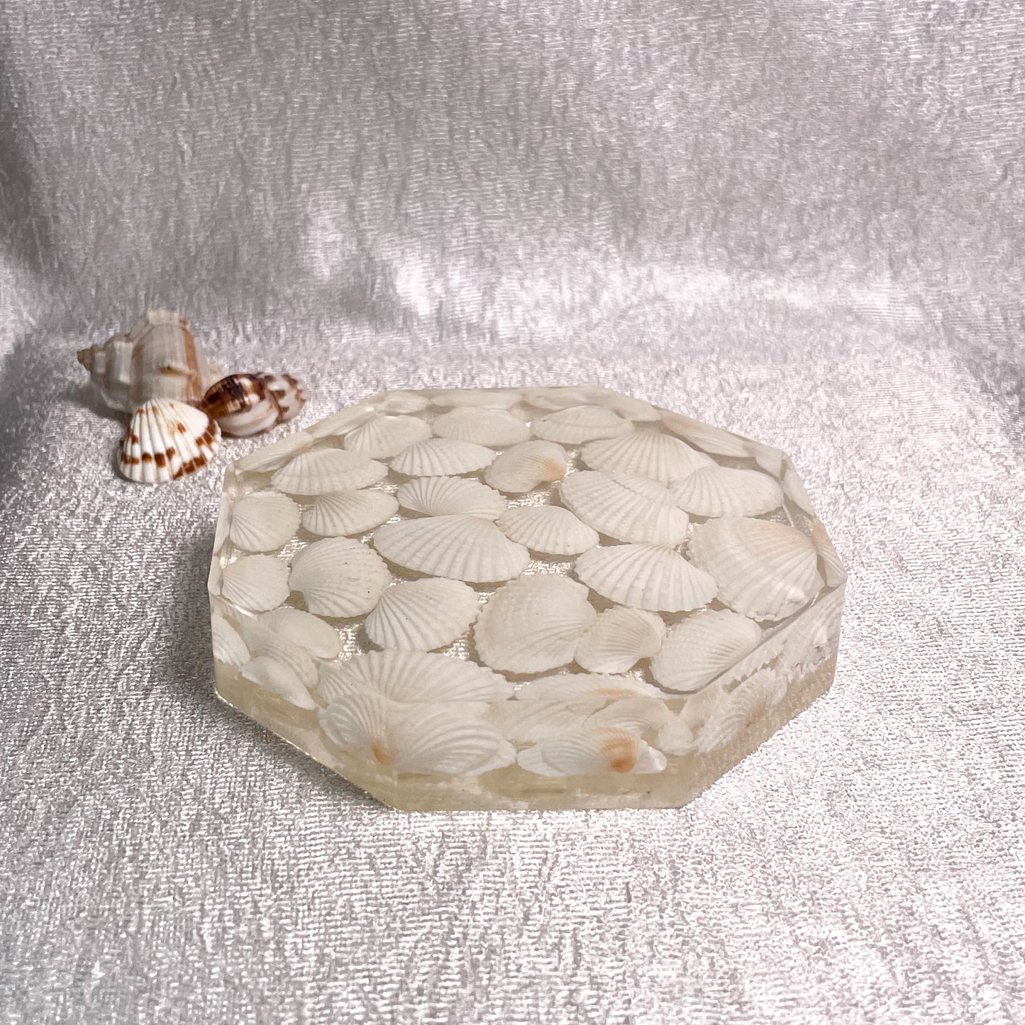 Seashell Serenity Coasters-White Shell Resin-Transparent-Octagon
