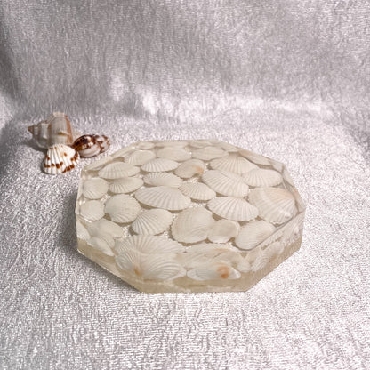 Seashell Serenity Coasters-White Shell Resin-Transparent-Octagon