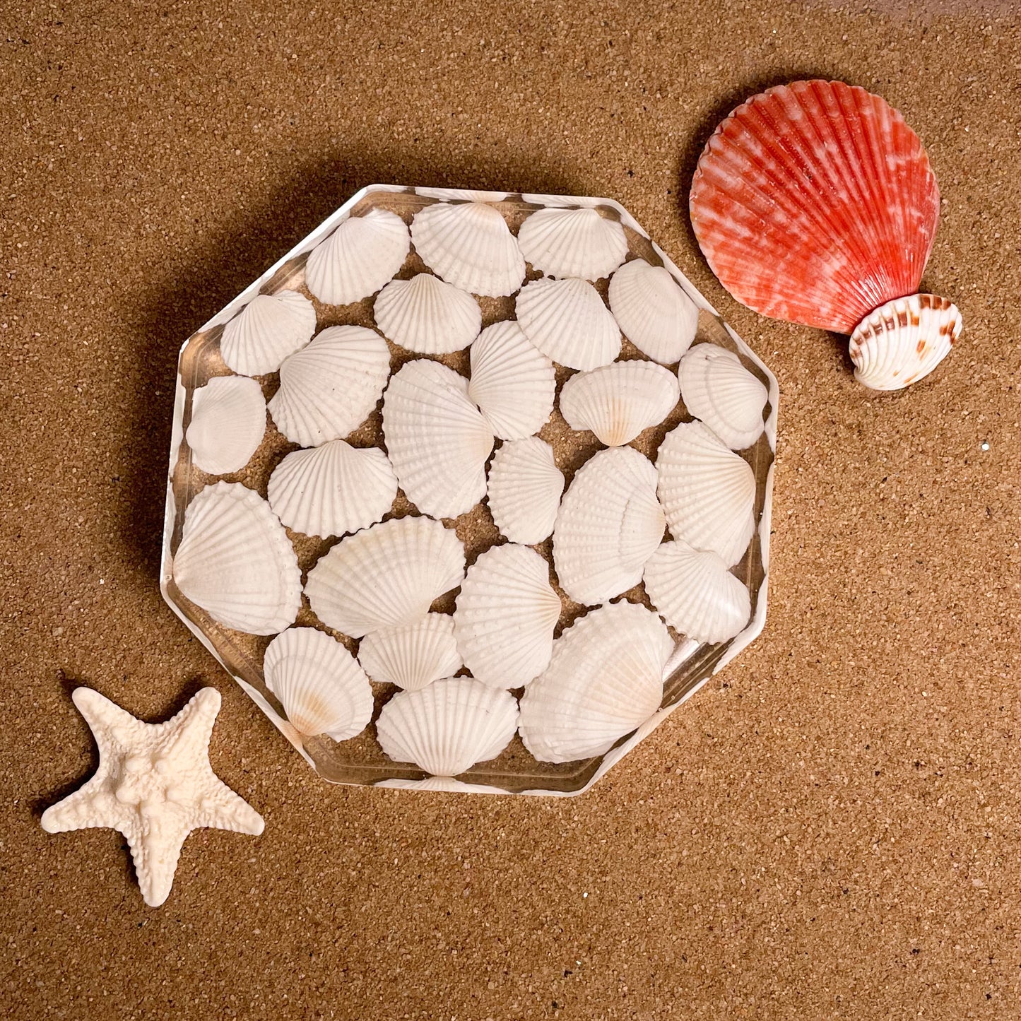 Seashell Serenity Coasters-White Shell Resin-Transparent-Octagon