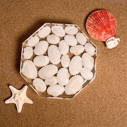 Seashell Serenity Coasters-White Shell Resin-Transparent-Octagon