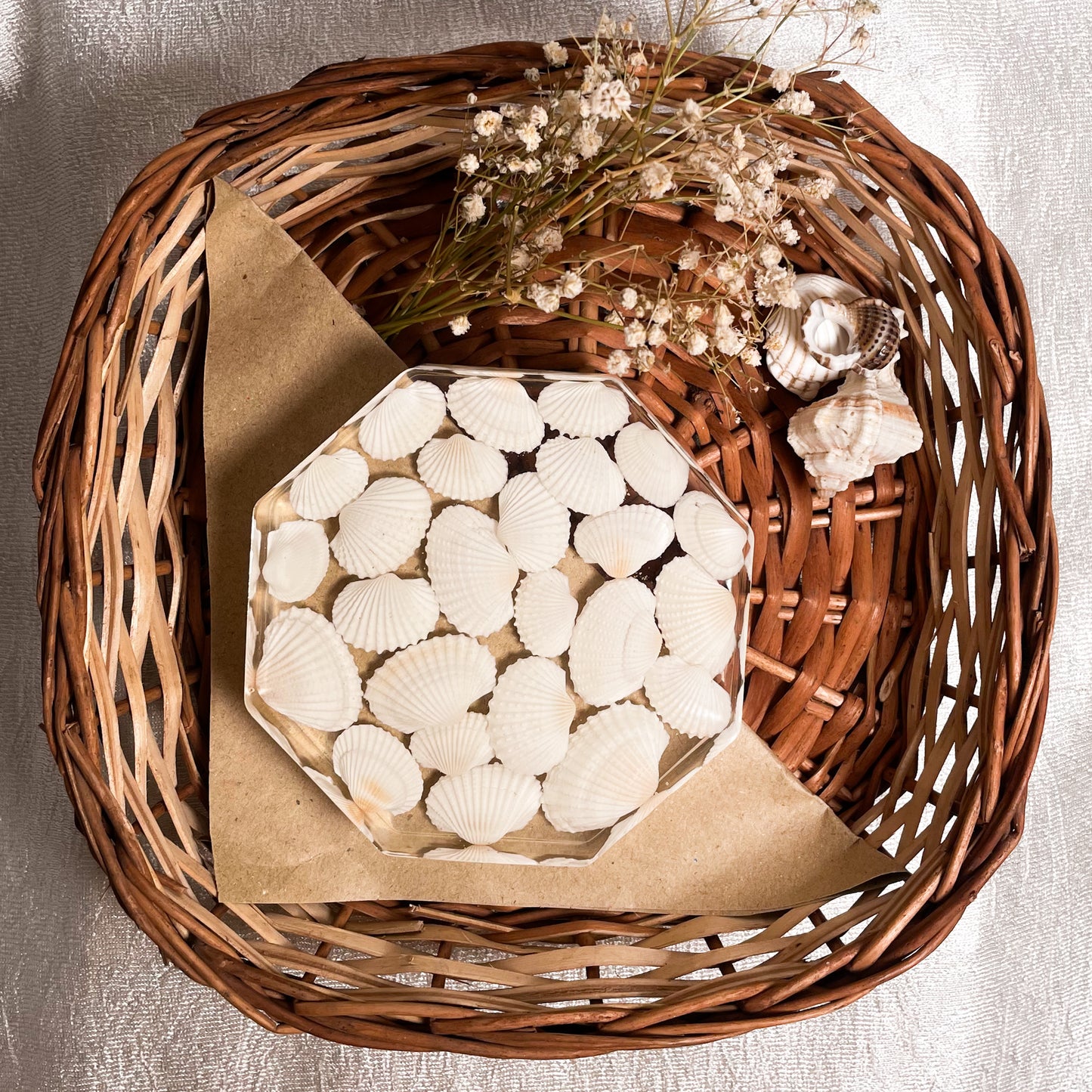Seashell Serenity Coasters-White Shell Resin-Transparent-Octagon
