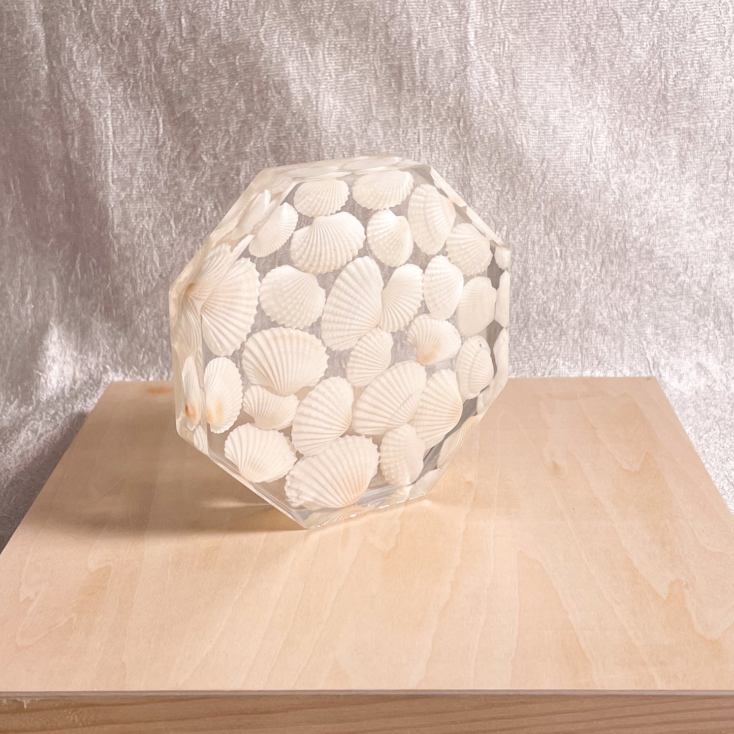 Seashell Serenity Coasters-White Shell Resin-Transparent-Octagon