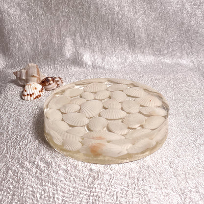 Seashell Serenity Coasters-White Shell Resin-Transparent-Round
