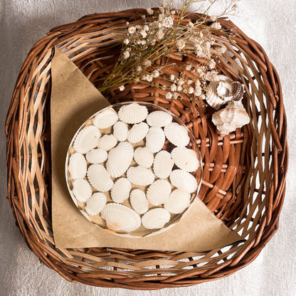 Seashell Serenity Coasters-White Shell Resin-Transparent-Round