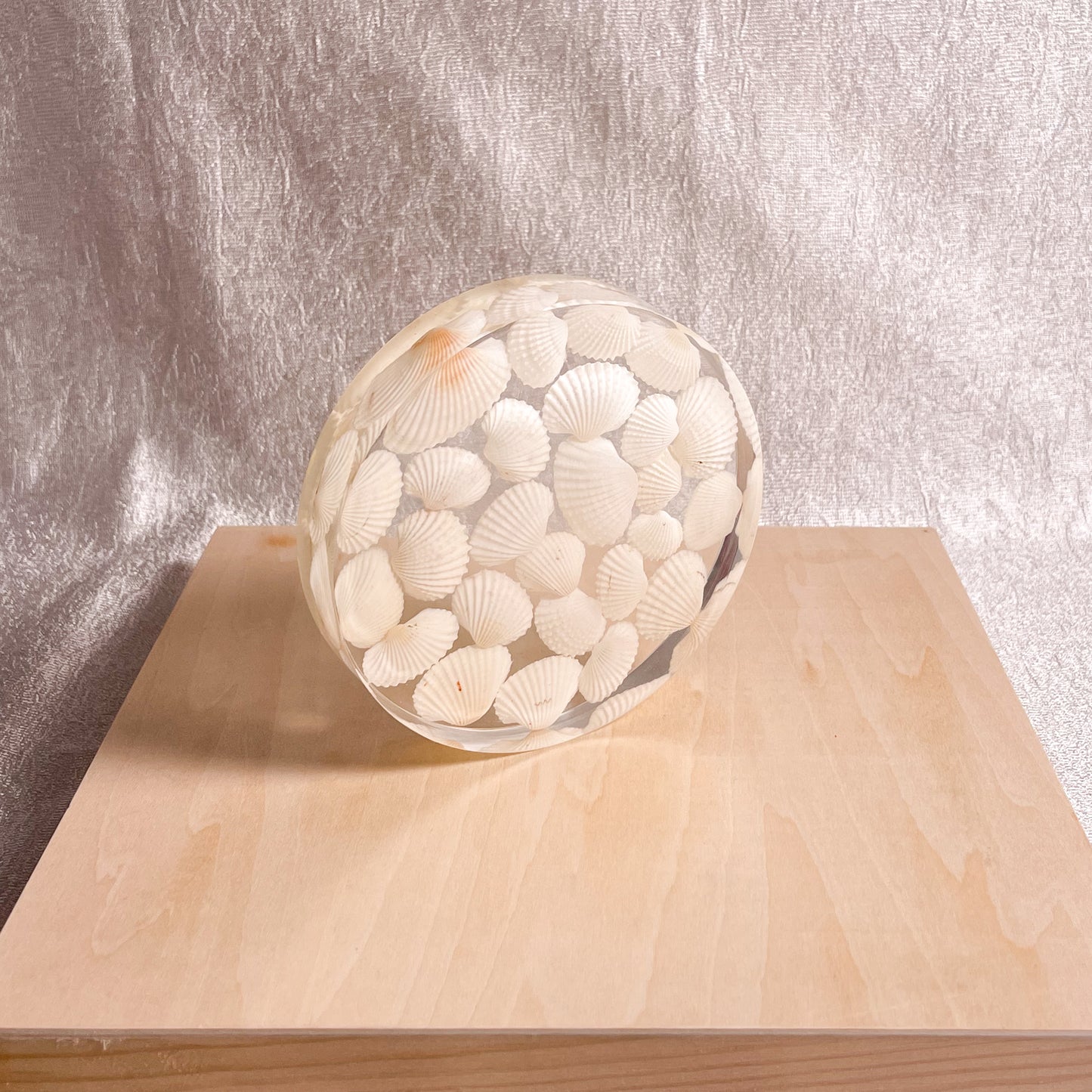 Seashell Serenity Coasters-White Shell Resin-Transparent-Round