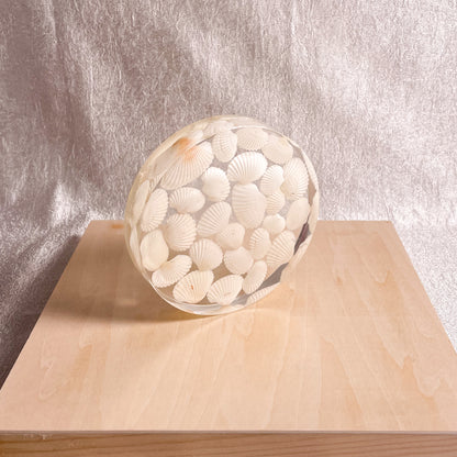 Seashell Serenity Coasters-White Shell Resin-Transparent-Round