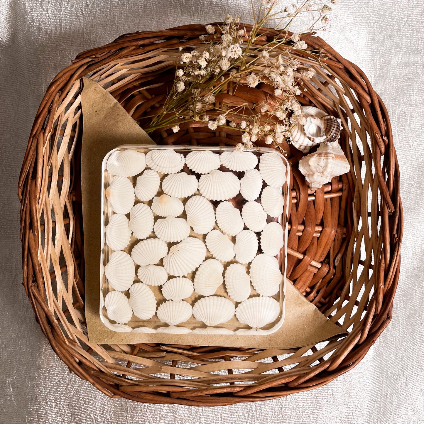 Seashell Serenity Coasters-White Shell Resin-Transparent-Square