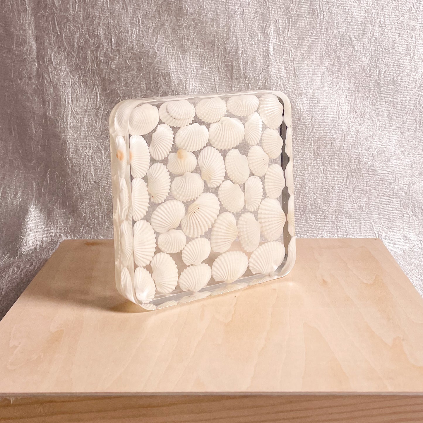 Seashell Serenity Coasters-White Shell Resin-Transparent-Square