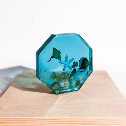 Seashell Serenity Coasters-Underwater Resin-Ocean Blue-Octagon