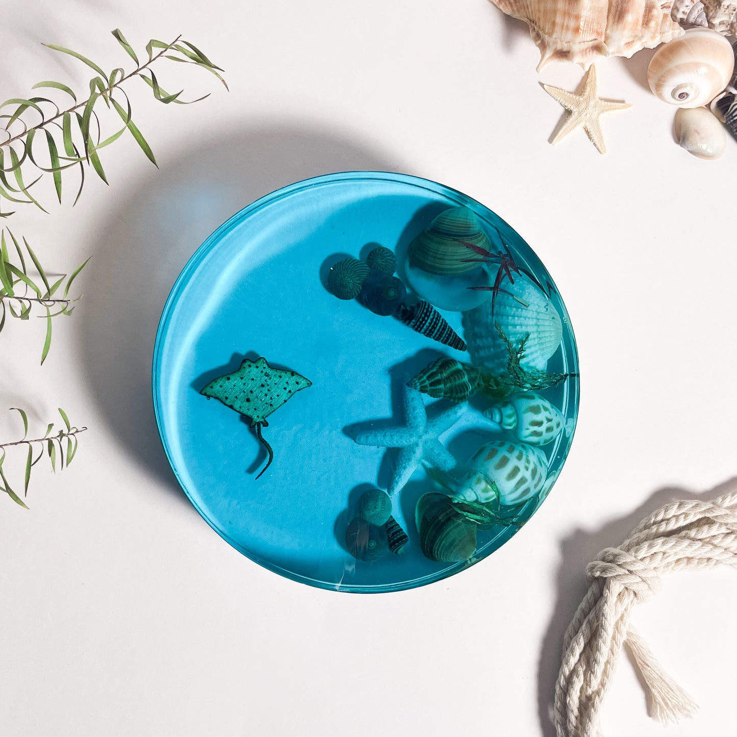 Seashell Serenity Coasters-Underwater Resin-Ocean Blue-Round
