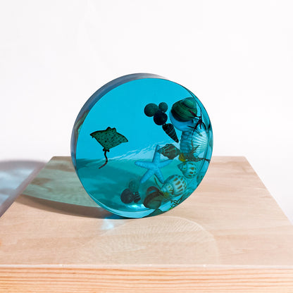 Seashell Serenity Coasters-Underwater Resin-Ocean Blue-Round