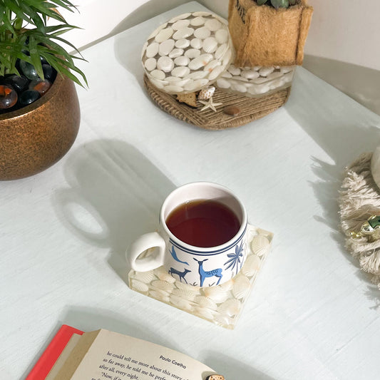 Seashell Serenity Coasters-White Shell Resin-Transparent-Square