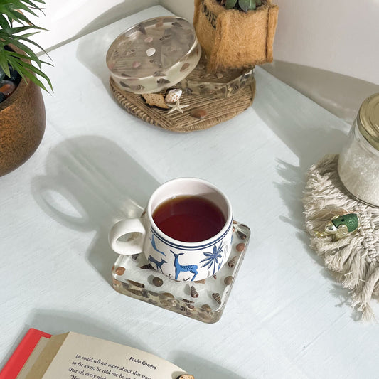 Seashell Serenity Coasters-Multi Color Shell Resin-Transparent-Square